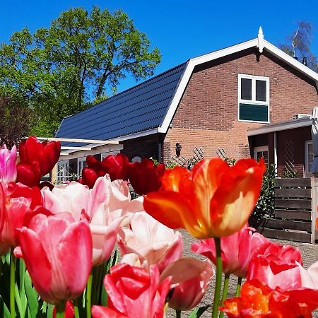 B&B De Hoffstal Sassenheim Dış mekan fotoğraf