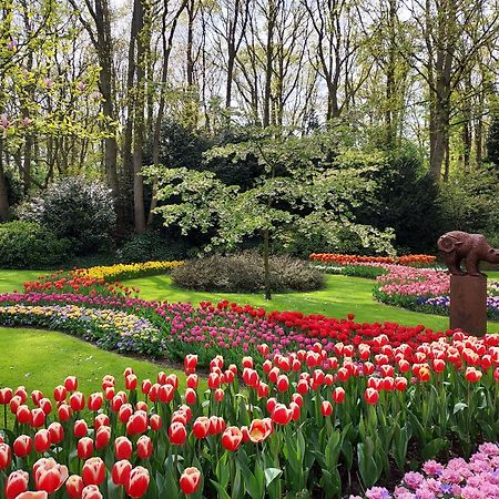 B&B De Hoffstal Sassenheim Dış mekan fotoğraf