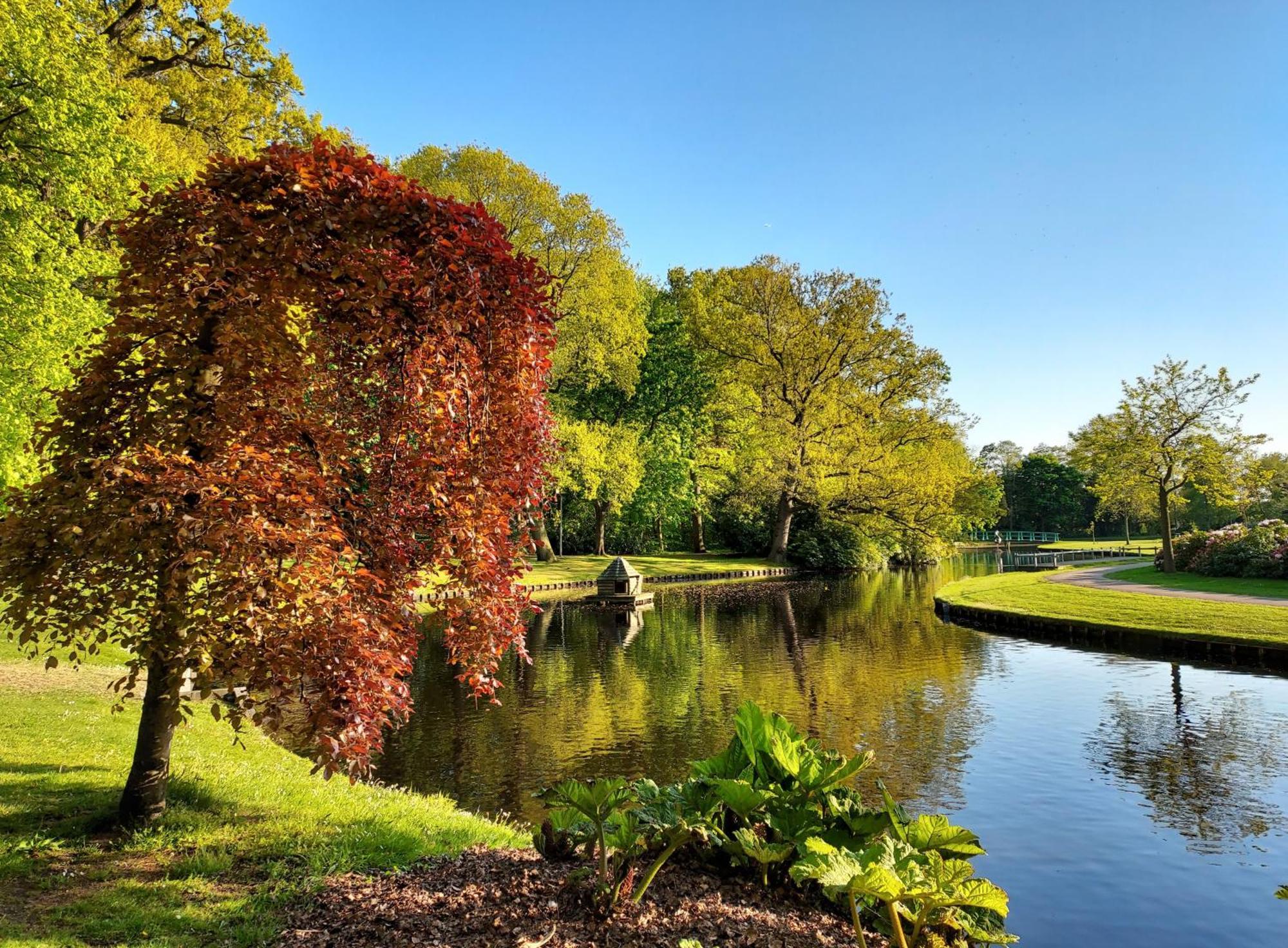 B&B De Hoffstal Sassenheim Dış mekan fotoğraf